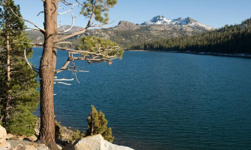 Caples Lake California