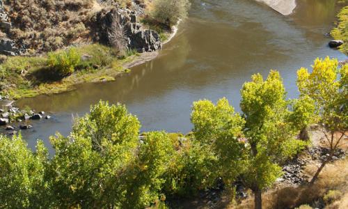 Carson River Nevada