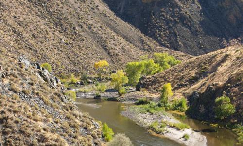 Nevada Carson River