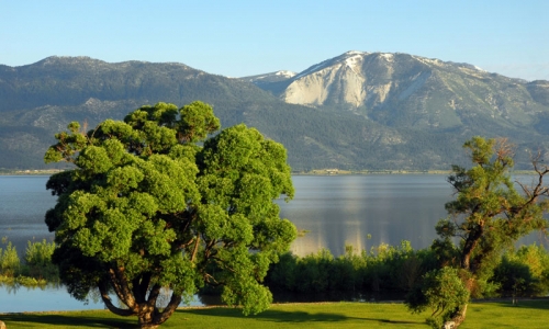 Lake Tahoe Park