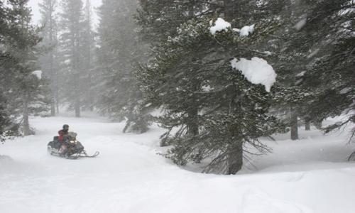 Lake Tahoe Snowmobiling