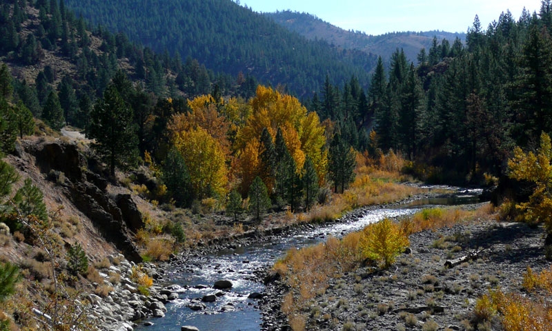 Truckee River near Lake Tahoe