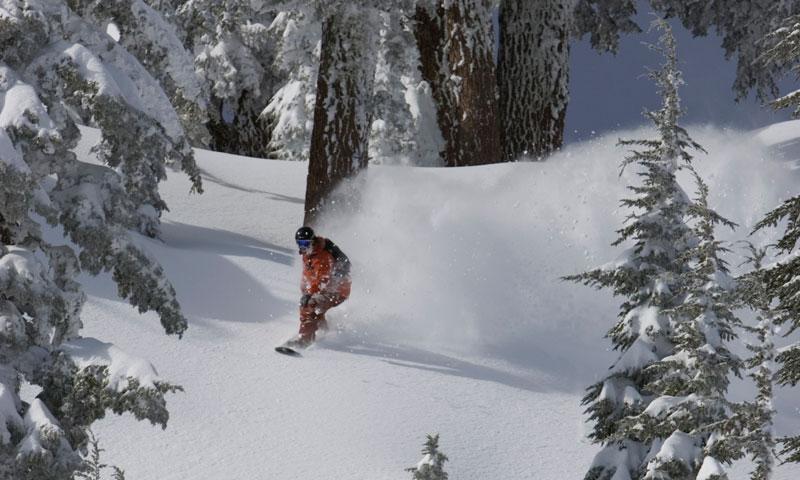 Snowboarding through the trees at Squaw Valley Ski Resort