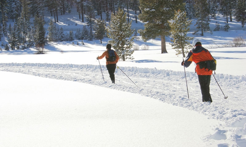 Cross Country Skiing near Lake Tahoe