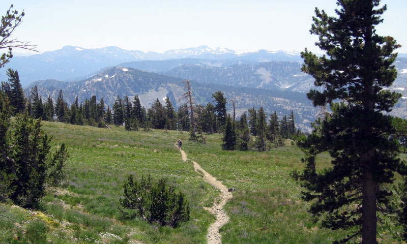 Hiking Trail through the Desolation Wilderness