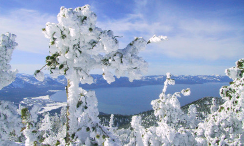 Lake Tahoe