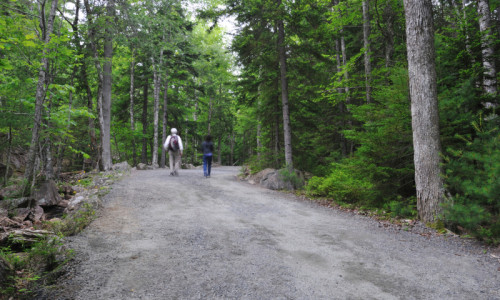 Hiking Trails
