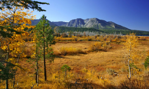 Taylor Creek Visitor Center