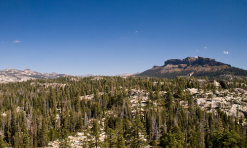 Carson Pass