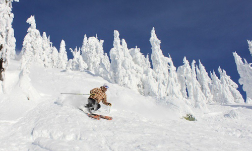 Winter Vacation Packages