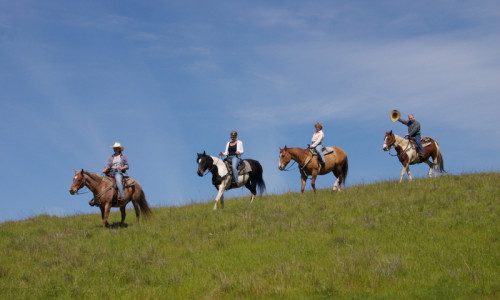 Horseback Riding
