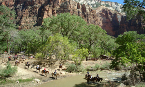 Horse Pack Trips