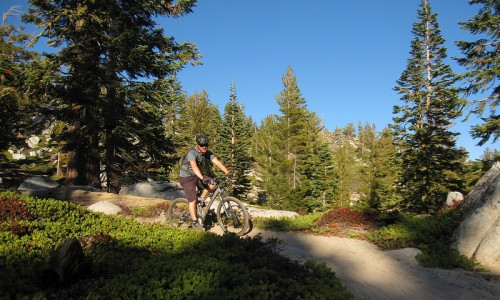 Tahoe Rim Trail